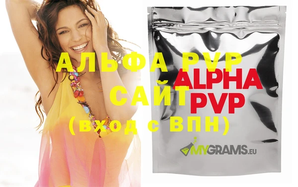 стаф Алексин