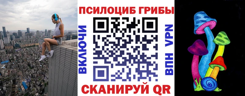 Псилоцибиновые грибы мицелий цены наркотик Краснозаводск