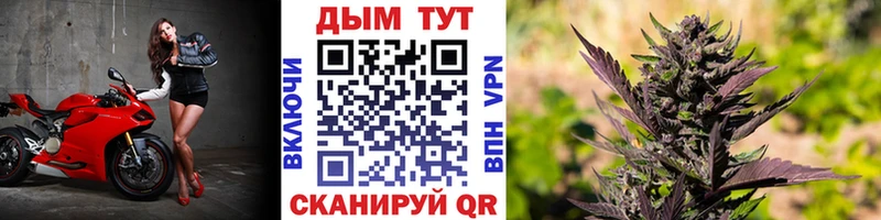 Бошки Шишки планчик  мориарти клад  Краснозаводск  цены  